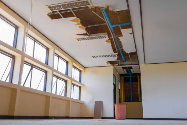 Best 24-hour water damage restoration  in Suffolk, VA