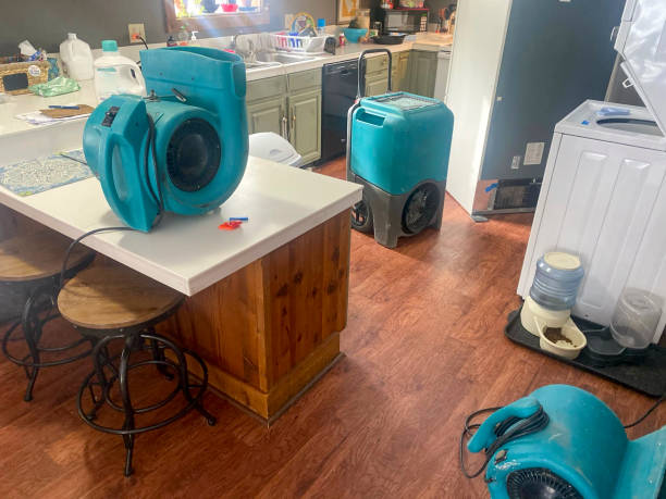Best Water damage restoration near me  in Suffolk, VA
