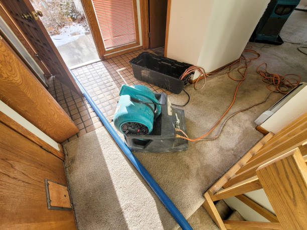 Best Flood restoration services  in Suffolk, VA