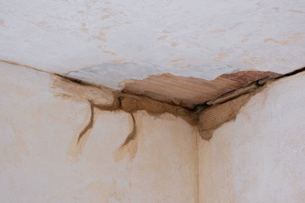 Water damage restoration experts in Suffolk, VA