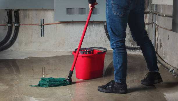 Best Water damage contractors near me  in Suffolk, VA