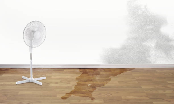 Best Flooded house restoration  in Suffolk, VA