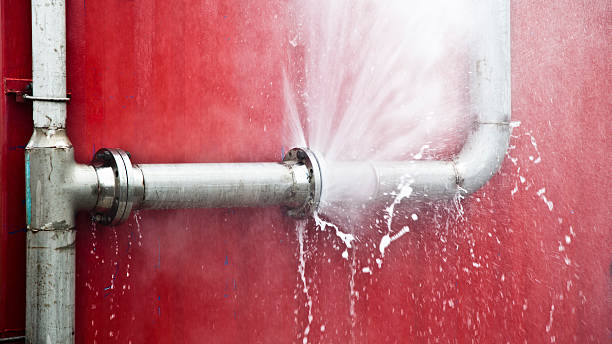Best Professional water damage repair  in Suffolk, VA