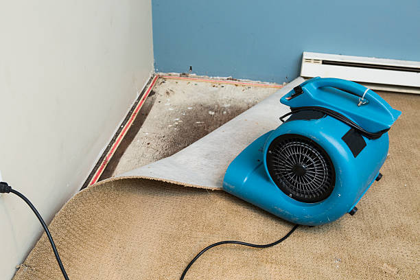 Best Water damage restoration cost  in Suffolk, VA